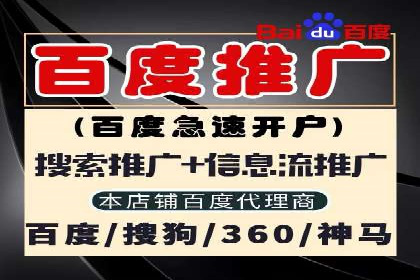 SEM主管实战：数据分析与策略调整